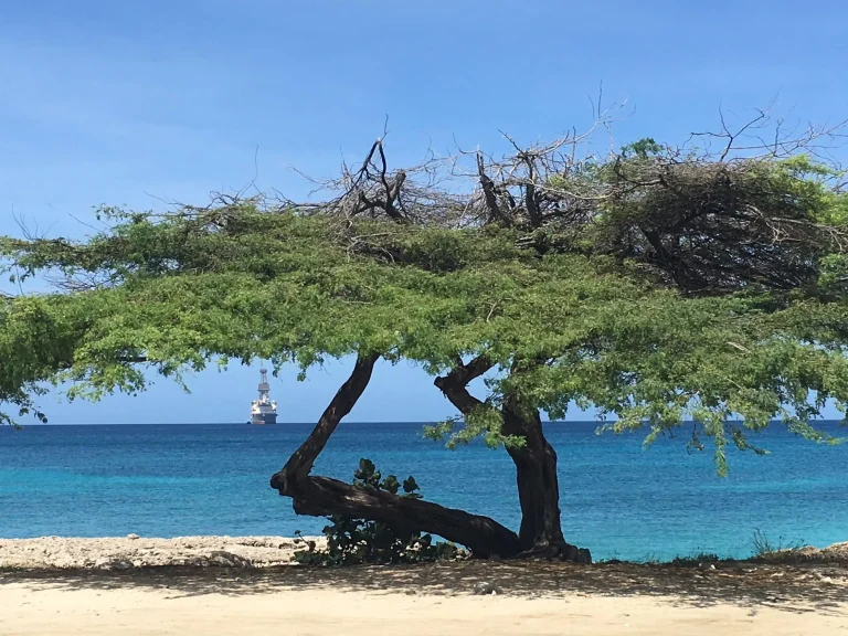 Aruba: One Sustainable Island