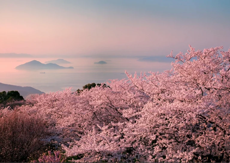 Wellness in Japan – Setouchi